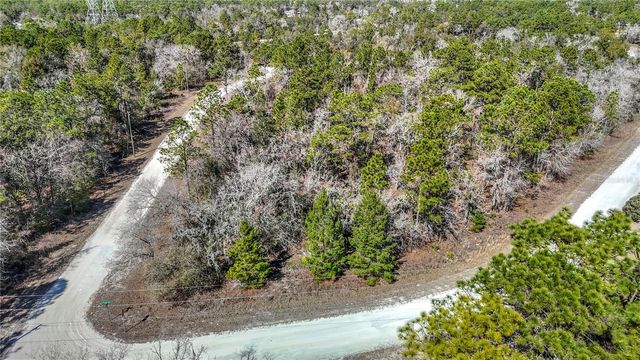 16070 SHELDRAKE LOOP, Weeki Wachee, FL 34614