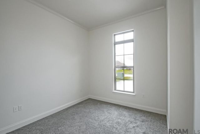 39327 Ironwood Ave, Prairieville, LA 70769