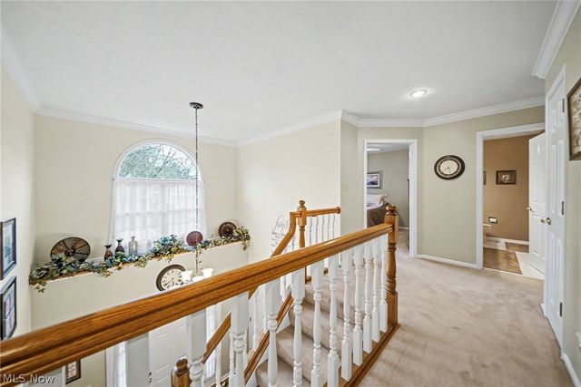 4343 Cobblestone Drive, Akron, OH 44321