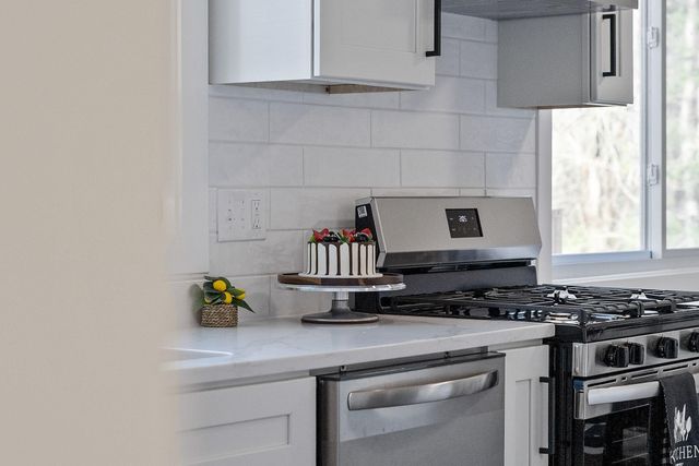 2663 S Coon Creek Drive, Andover, MN 55304