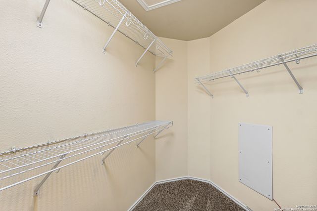 12114 PAINTED DAISY, San Antonio, TX 78253