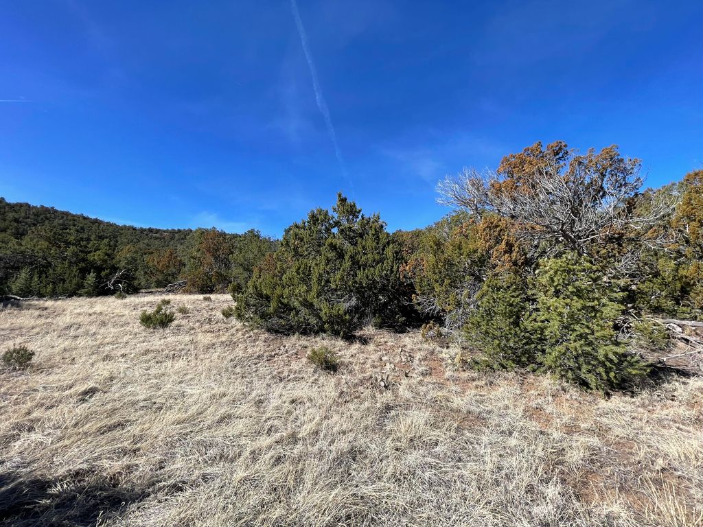 41 Canon Escondido Place, Sandia Park, NM 87047