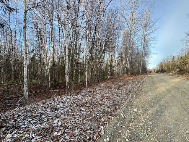 46748 S Shaman Road, Willow, AK 99688