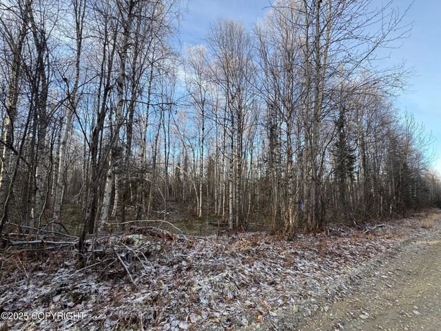 46748 S Shaman Road, Willow, AK 99688