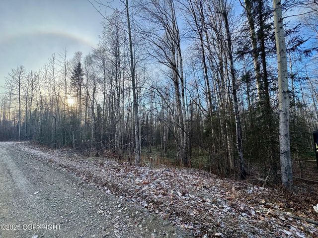 46748 S Shaman Road, Willow, AK 99688