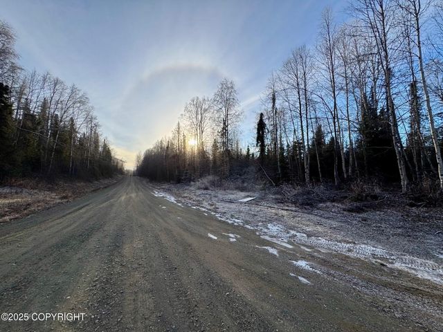 46748 S Shaman Road, Willow, AK 99688