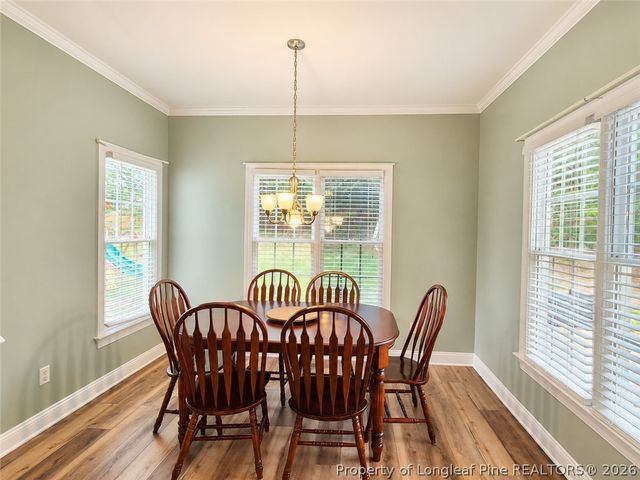 1705 Ashley Downs Drive, Apex, NC 27502