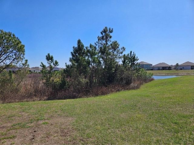 11294 CAY SPRUCE WAY, San Antonio, FL 33576