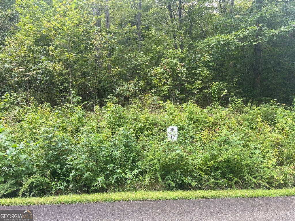 LOT 17 Staurolite Mountain Drive, Blue Ridge, GA 30513