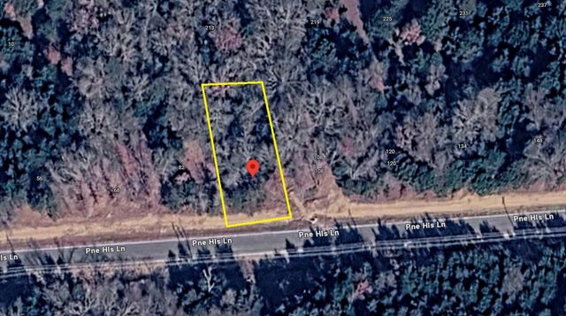 96 Pine Hills Lane, Gordonville, TX 76245