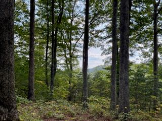 80 Paradise Alley, Russell Springs, KY 42642