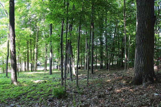 1229-1233 HENRIETTA STREET, Wausau, WI 54403