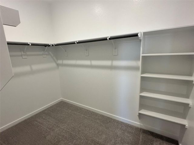 16068 Tallis Drive, Conroe, TX 77303