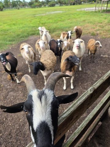 648 Avenida del Sur, Clewiston, FL 33440