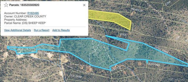 Lot 1 Eagle Mining Claim, Dumont, CO 80436