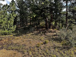 Lot 1 Eagle Mining Claim, Dumont, CO 80436