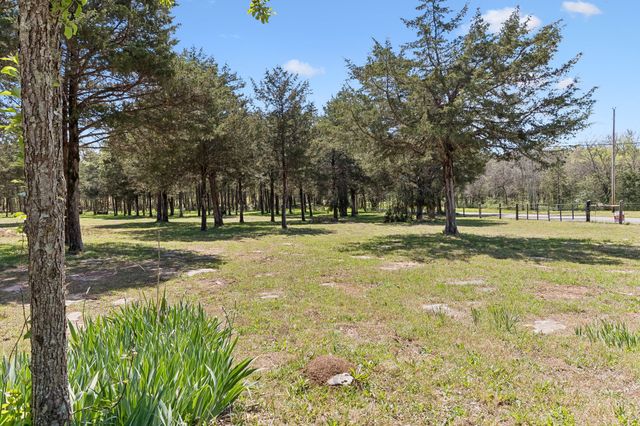 160 Osteen Ln, Chapel Hill, TN 37034