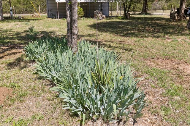 160 Osteen Ln, Chapel Hill, TN 37034