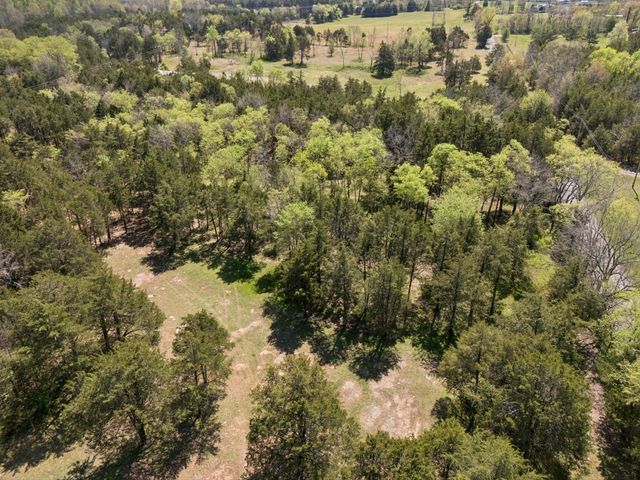 160 Osteen Ln, Chapel Hill, TN 37034