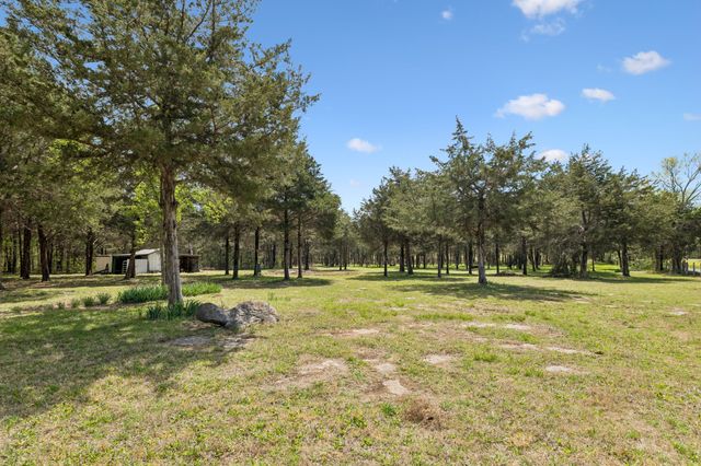 160 Osteen Ln, Chapel Hill, TN 37034