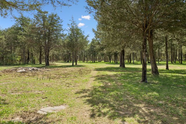 160 Osteen Ln, Chapel Hill, TN 37034
