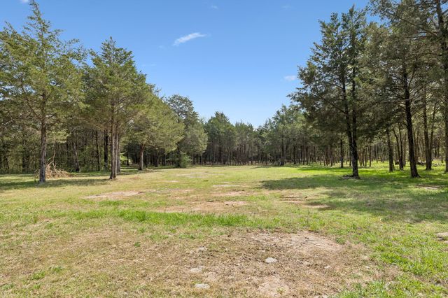 160 Osteen Ln, Chapel Hill, TN 37034