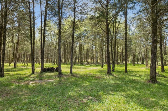 160 Osteen Ln, Chapel Hill, TN 37034