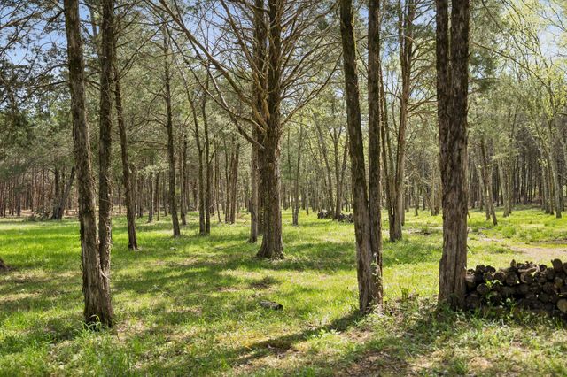 160 Osteen Ln, Chapel Hill, TN 37034