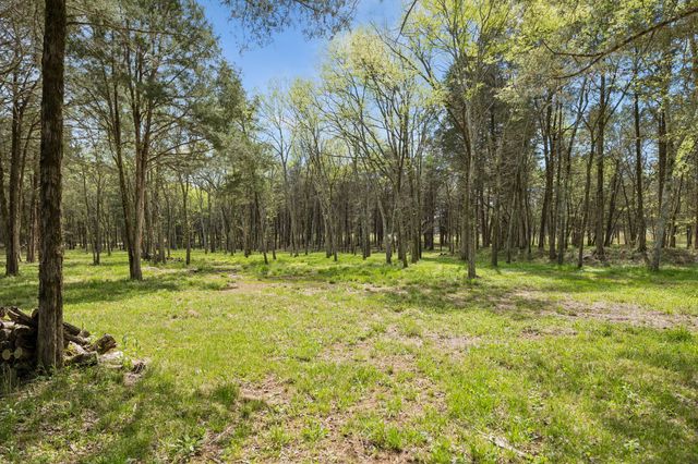 160 Osteen Ln, Chapel Hill, TN 37034