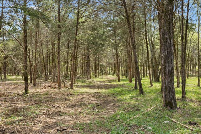 160 Osteen Ln, Chapel Hill, TN 37034