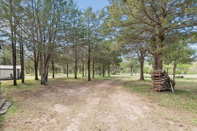 160 Osteen Ln, Chapel Hill, TN 37034