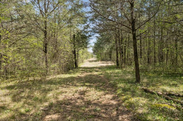 160 Osteen Ln, Chapel Hill, TN 37034