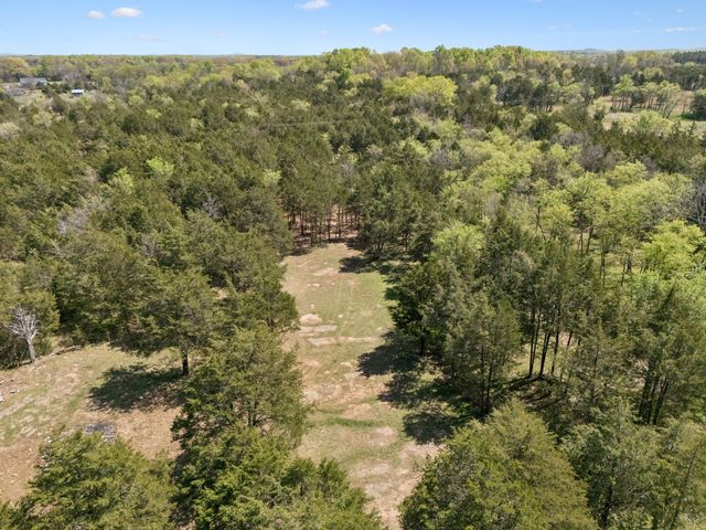160 Osteen Ln, Chapel Hill, TN 37034