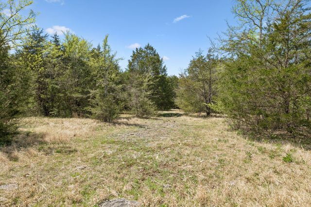 160 Osteen Ln, Chapel Hill, TN 37034