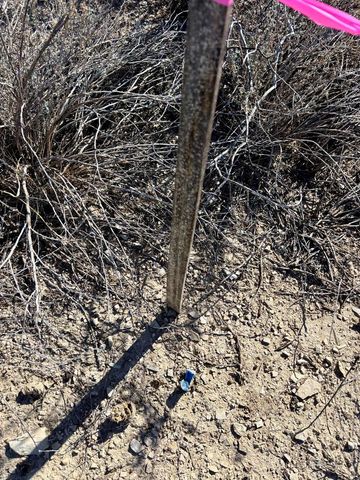 2980 E Helt Dr, Terlingua, TX 79852