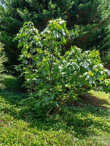 60 Mardell Circle, Asheville, NC 28806