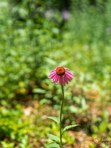 60 Mardell Circle, Asheville, NC 28806