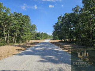 Lot 3 Deerwood Estates, Aurora, MO 65605