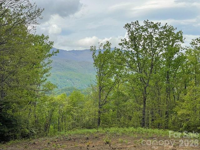 Lot 7 Copperhead Cove, Sylva, NC 28779