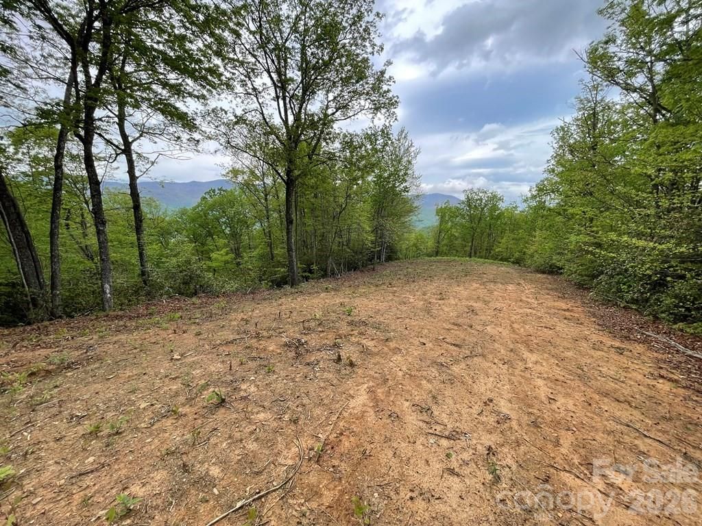 Lot 7 Copperhead Cove, Sylva, NC 28779