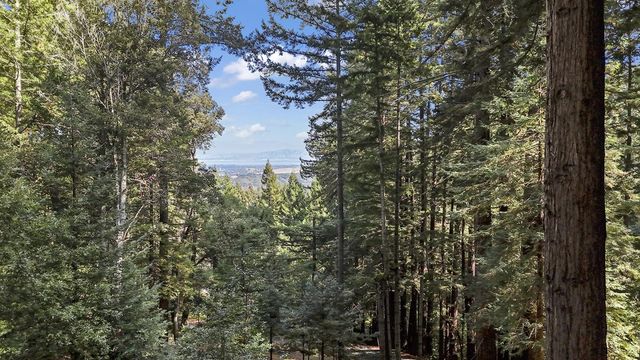 320 Grandview Drive, Woodside, CA 94062