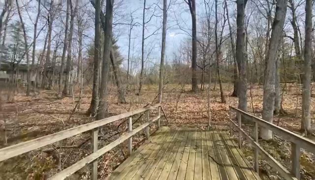 VL Bridge Road, Allegan, MI 49010