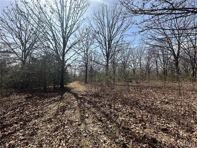 2441 N Highway 19, Salem, MO 65560