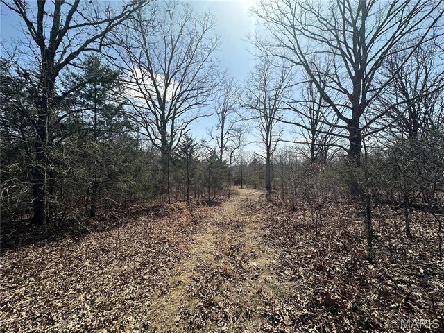 2441 N Highway 19, Salem, MO 65560