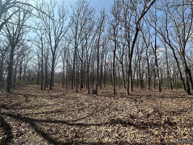 2441 N Highway 19, Salem, MO 65560