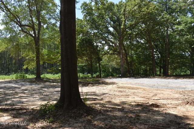 6 Gray Academy Road, Ashland, MS 38603