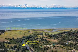 73842 Cuffel Ditton Road, Anchor Point, AK 99556