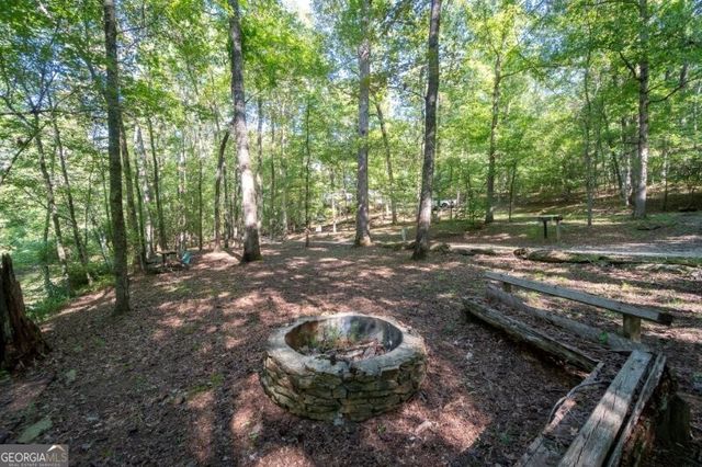 55 Santa Pera Dr, Cleveland, GA 30528