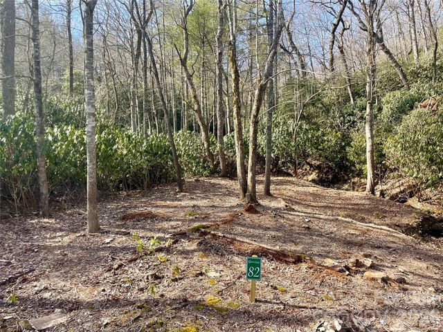 TBD Dogwood Trail, Spruce Pine, NC 28777