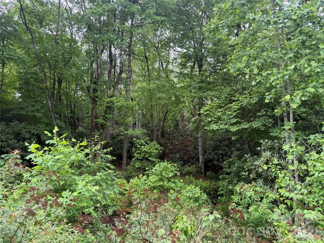 TBD Dogwood Trail, Spruce Pine, NC 28777